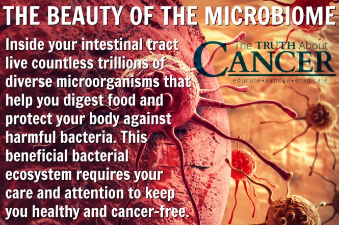 ttac-graphic-microbiome